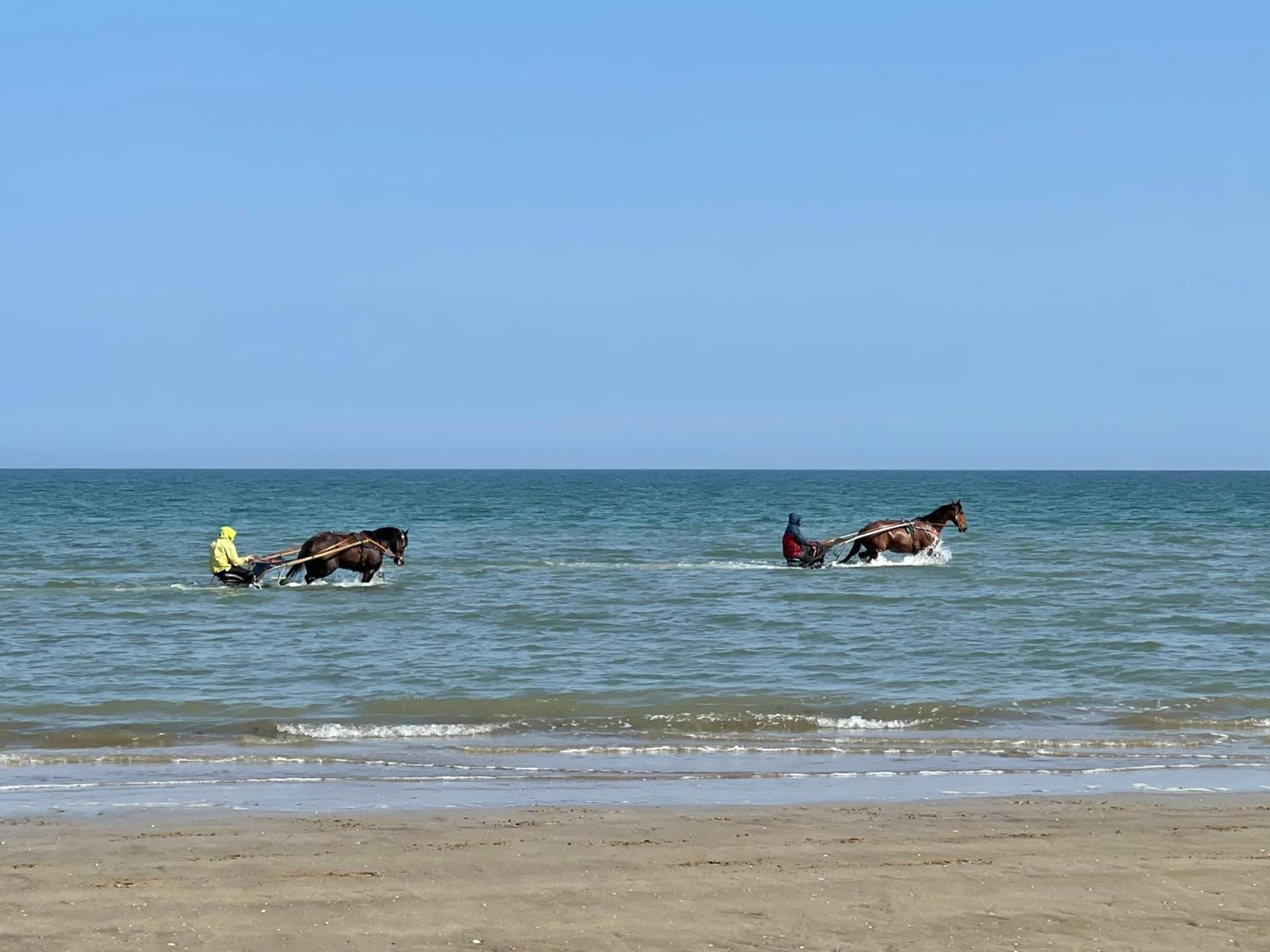 Pressoir De La Mare Superhote 12 Minutes De Cabourg Goustranville Exterior foto